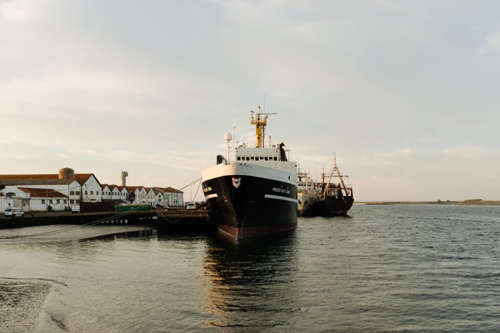 What Is The Difference Between A Tender And A Docked Port?